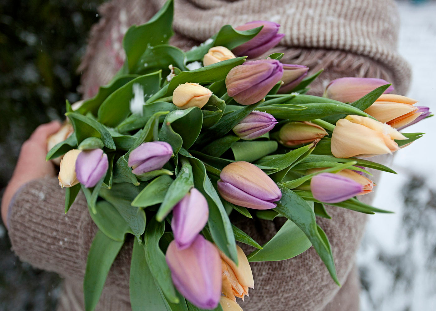 Year Three Flower Farming - Lessons Learned