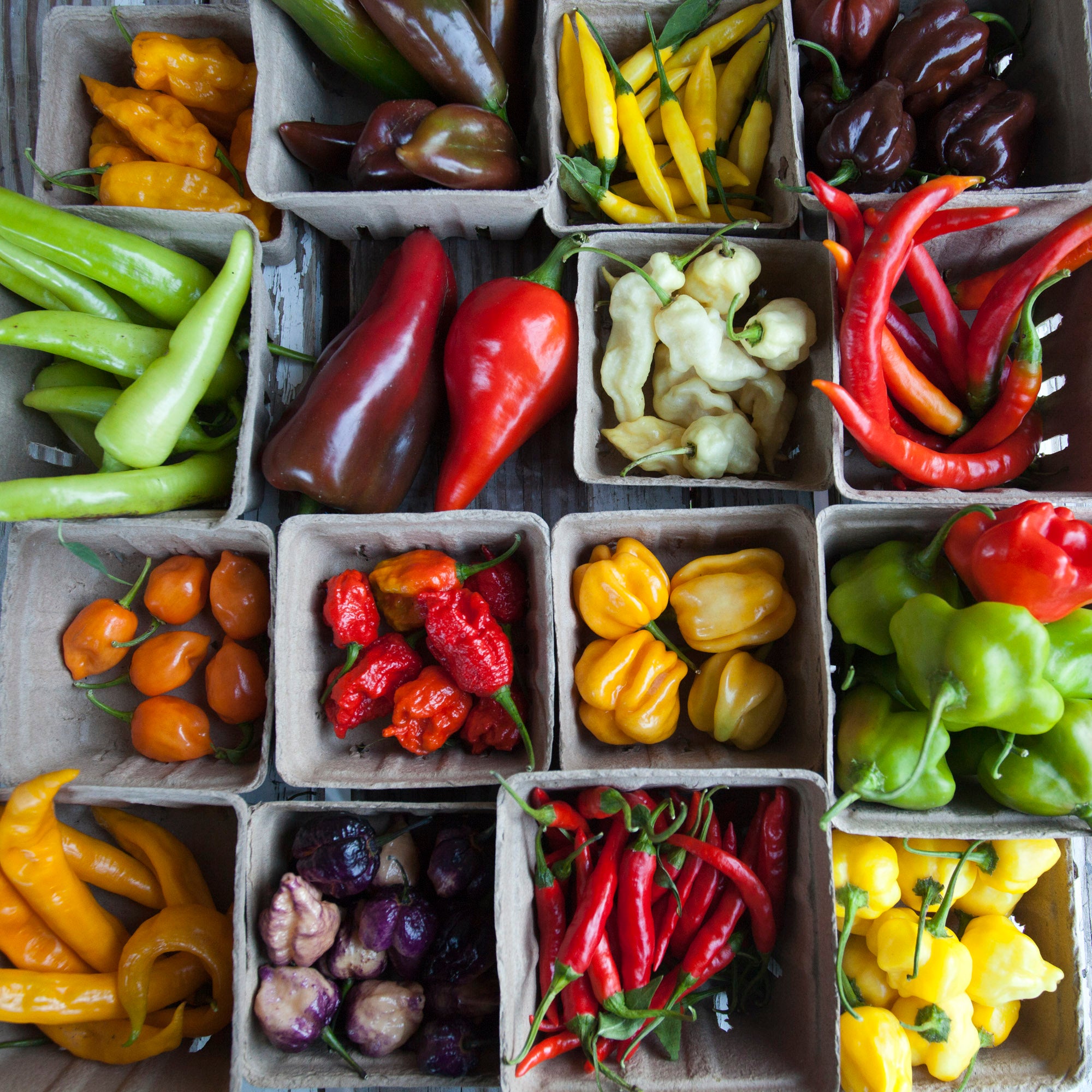 Assorted types of peppers in small cardboard boxes on a wooden surface.