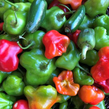 Assorted colorful peppers including green, red, and orange in a basket.