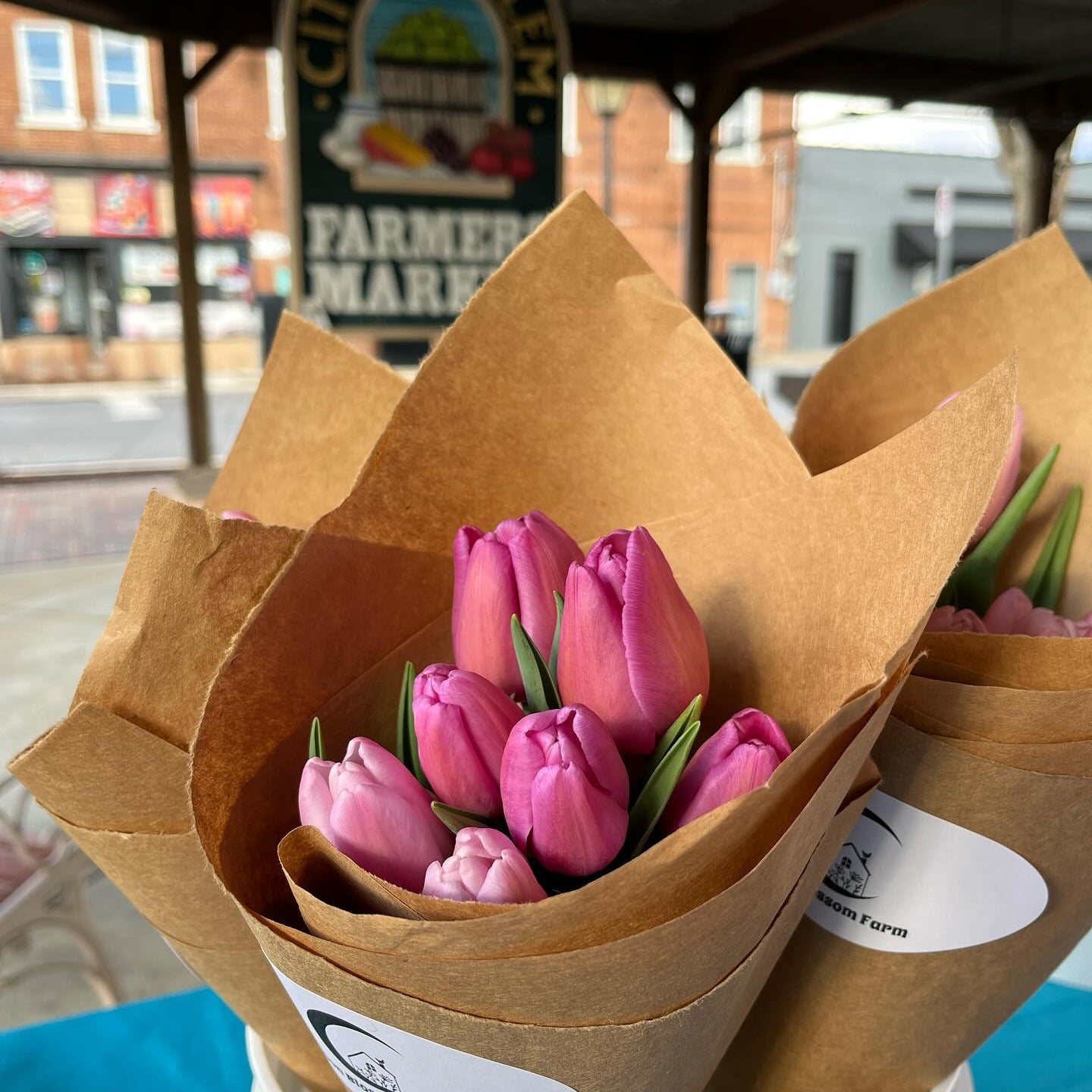 Bouquets of pink tulips in brown paper packaging with a 'City of Salem' sign in the background.