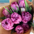 Bouquet of pink tulips in brown paper wrapping