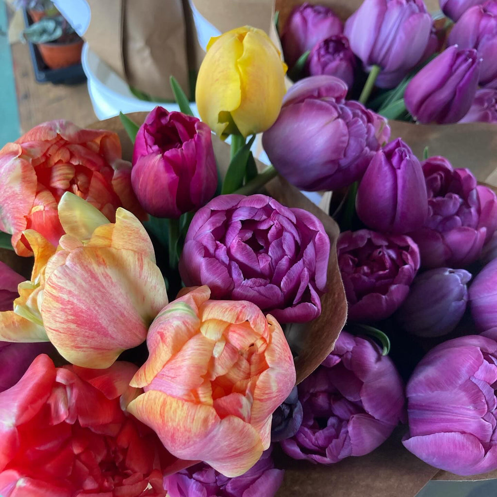 Bouquet of colorful tulips with a mix of purple, yellow, and orange flowers.