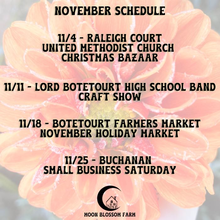 November Schedule